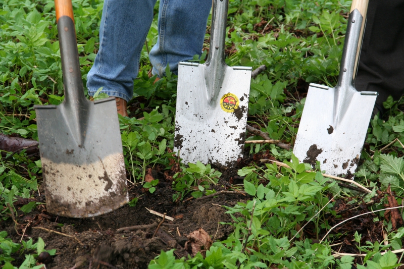 pepiniere-MEOUNES LES MONTRIEUX-min_work-lawn-flower-tool-green-backyard-1103633-pxhere.com